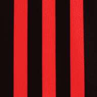 mehrdad-milan